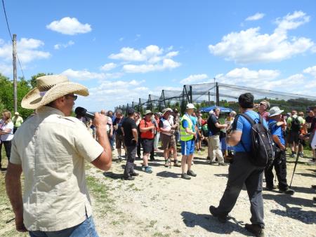 Pomlad v prleških goricah 2017 119